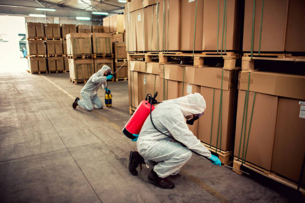 Best Flea Control Services  in Gallitzin, PA