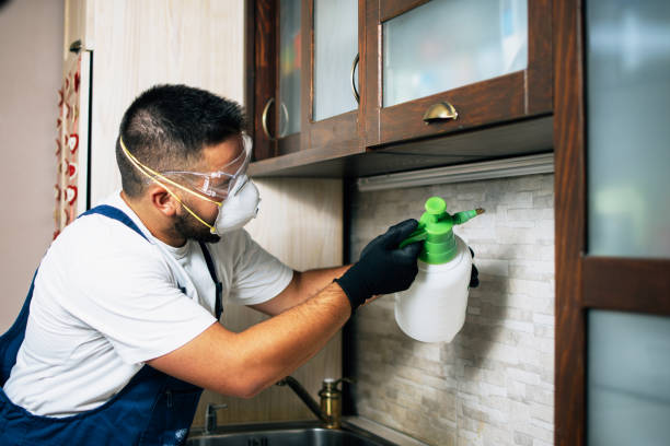 Best Affordable Pest Control Services  in Gallitzin, PA