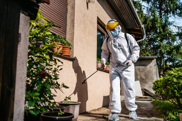 Best Best Pest Control Companies  in Gallitzin, PA