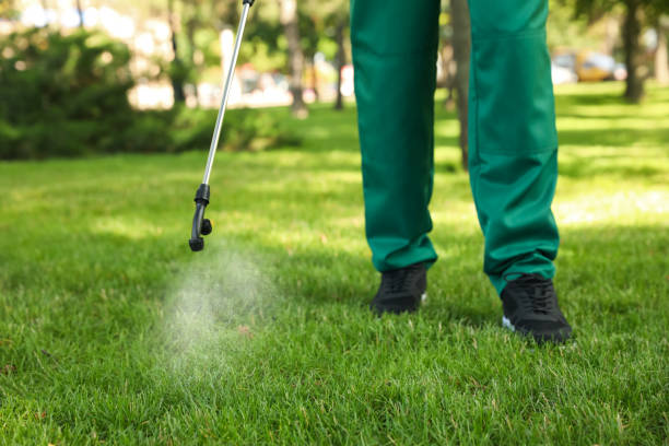 Best Local Pest Control Services  in Gallitzin, PA
