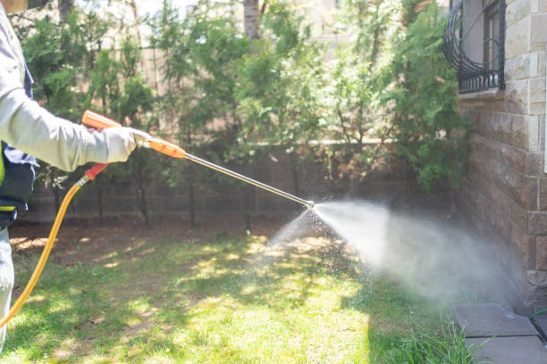 Best Pest Removal Services  in Gallitzin, PA
