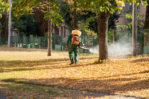 Best Commercial Pest Control Services  in Gallitzin, PA