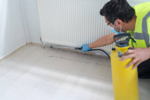 Best Pest Control for Homes  in Gallitzin, PA