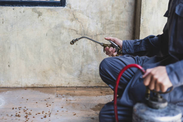 Best Affordable Pest Control Services  in Gallitzin, PA