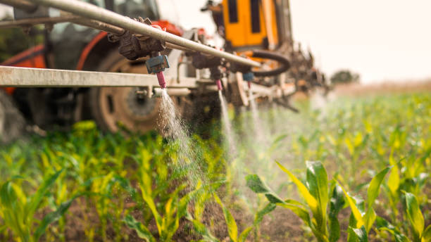Professional Pest Control in Gallitzin, PA